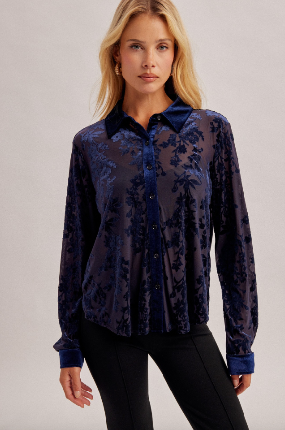 Nocturne Button Down