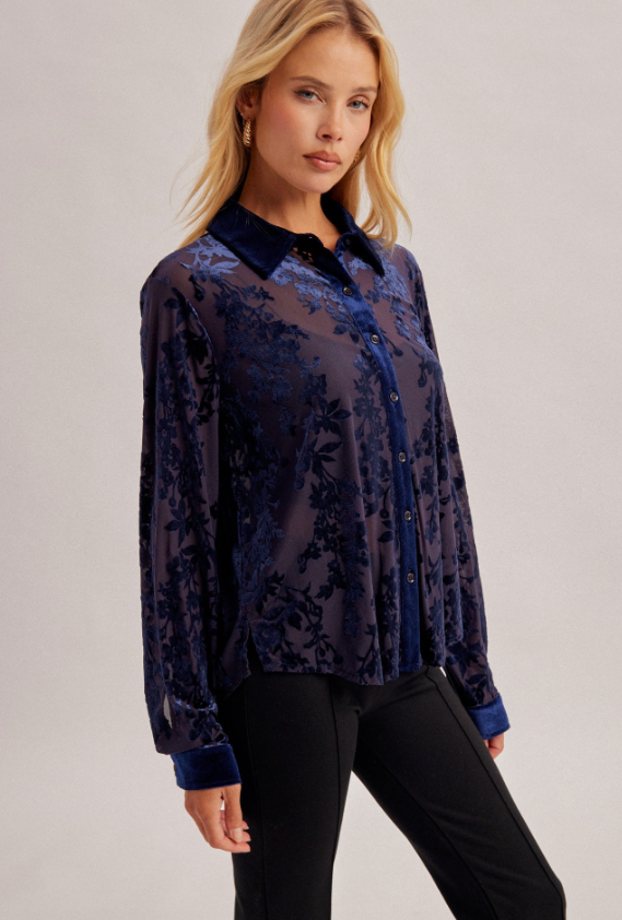 Nocturne Button Down